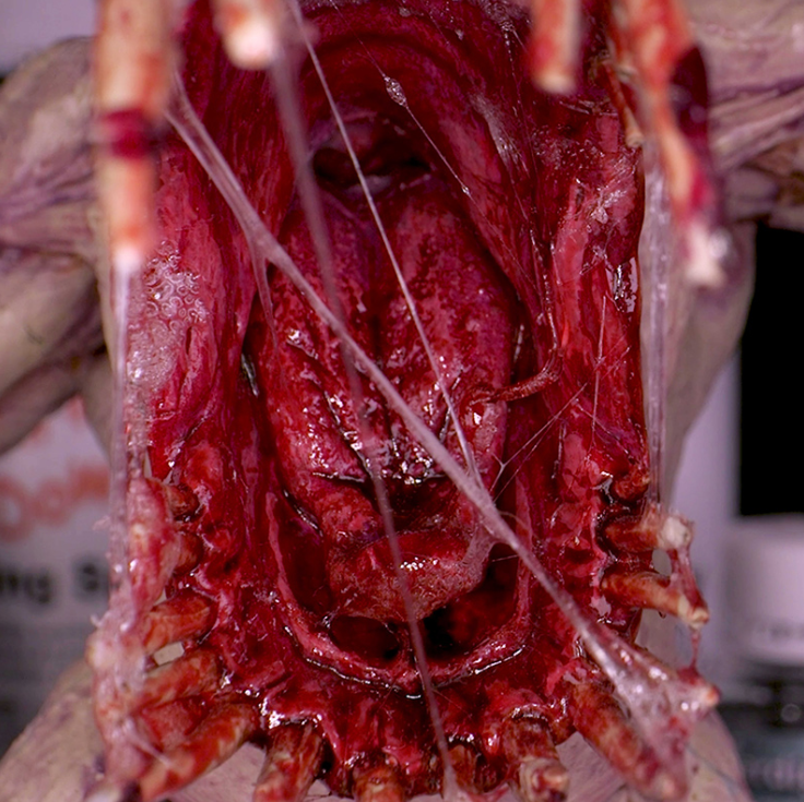 Dirty Down Mooseffekt - 25ml