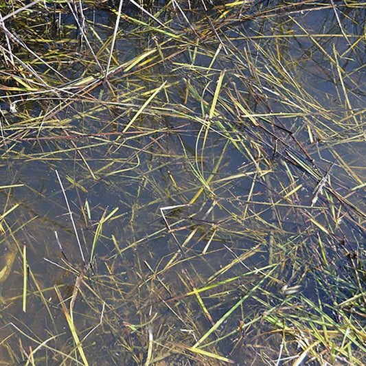 STILLES WASSER - 250ml (Acryl)