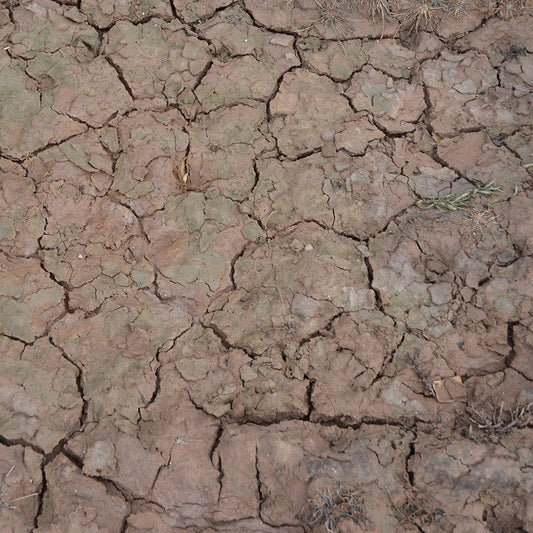 NASSE KNISTER-EFFEKTE – 100 ml (Acryl)