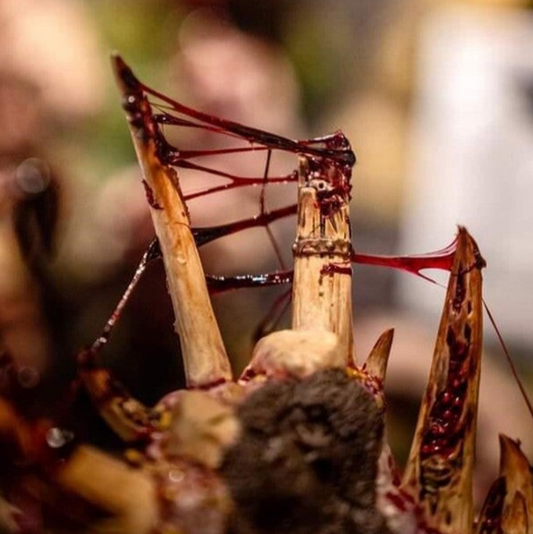 Dirty Down Mooseffekt - 25ml