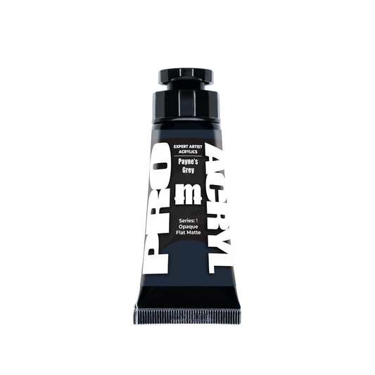 Expert Acrylics 013 - Payne's Grau