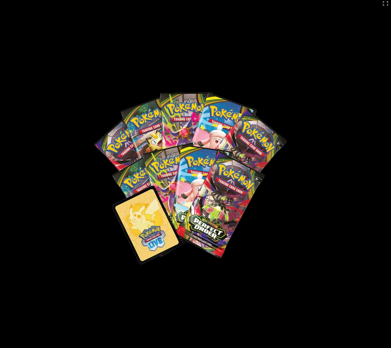 Perfect Order Elite Trainer Box
