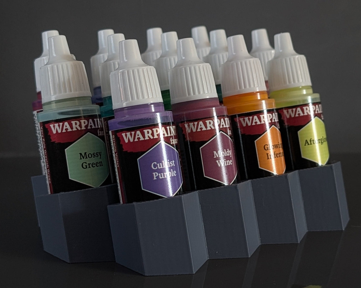 Battlecat 25mm Paint Bottle Holder (13 Paint Bottles)